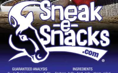 Original Horse Treats