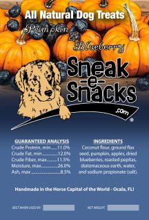 Pumpkin & Blueberry Dog Treats