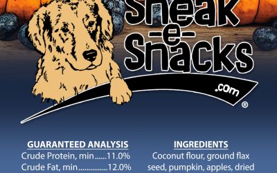 Pumpkin Blueberry Dog Treats
