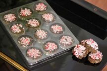 Sneak-e-Snacks Peppermint Treats