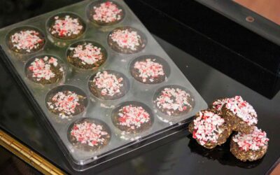 Peppermint Horse Treats